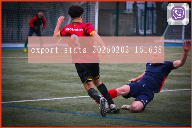 export_stats_20260202_161638